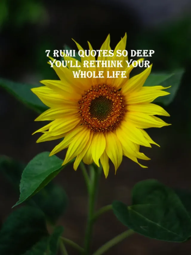 RUMI Quotes about love